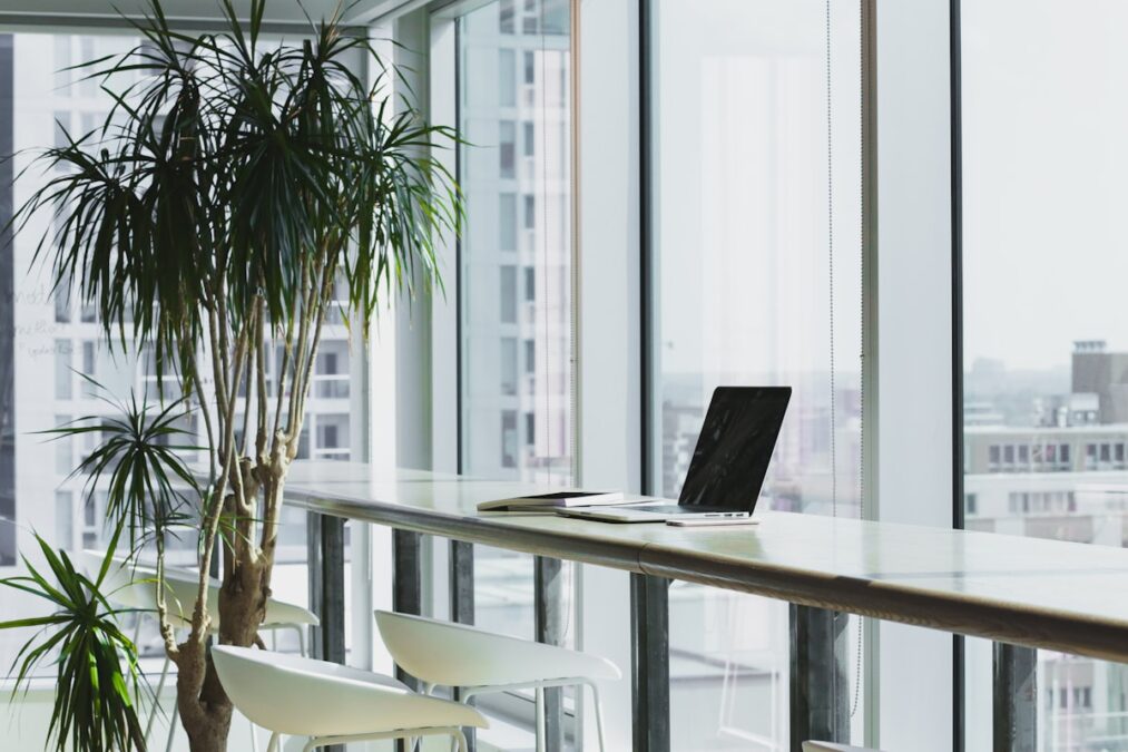 Junior Frontend Developer